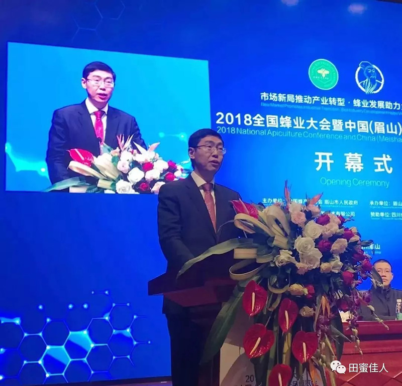 1544511379132004.jpg 8.jpg